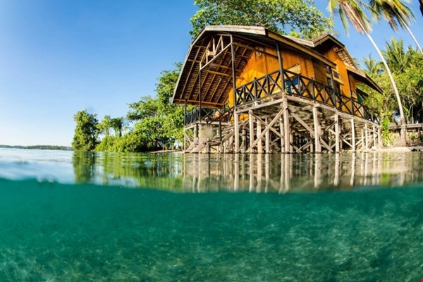 Wat is het beste moment voor een duikvakantie?